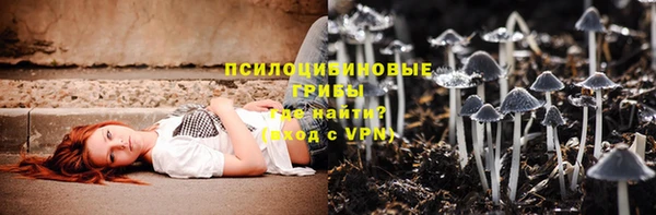 мдпв Арсеньев